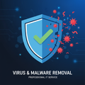 Virus & Malware Removal